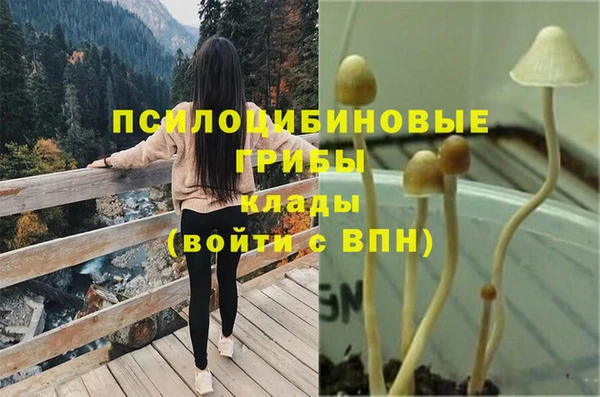 2c-b Алексеевка